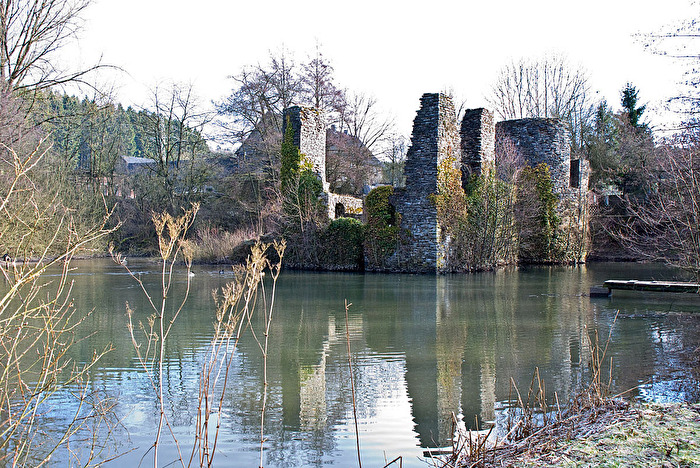 Wasserburgruine Eibach...