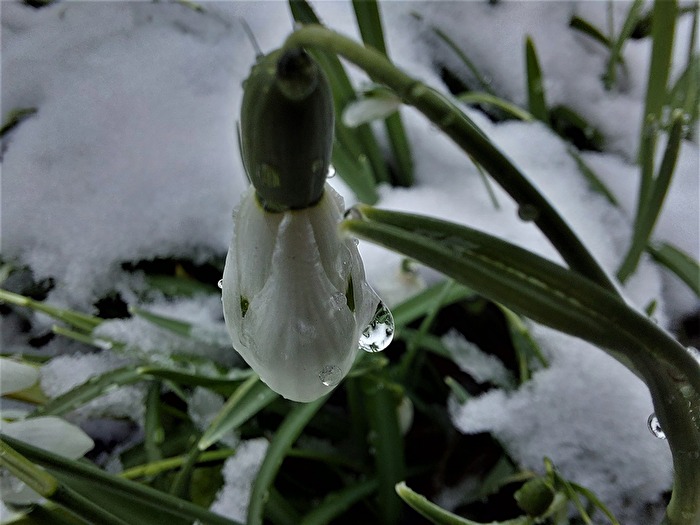 raus in die Freiheit