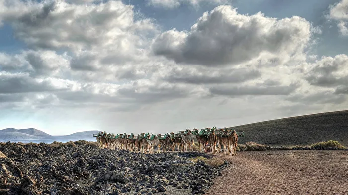 Am Heimweg    ( Lanzarote )