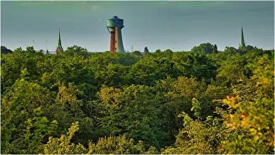 Grüne Lunge Ruhrgebiet !