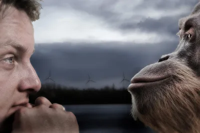 FACE TO FACE