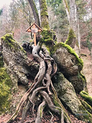 Marienfelsen