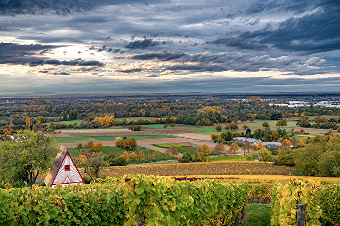 Hessische Bergstraße