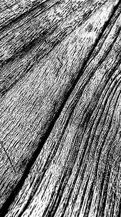 Holz