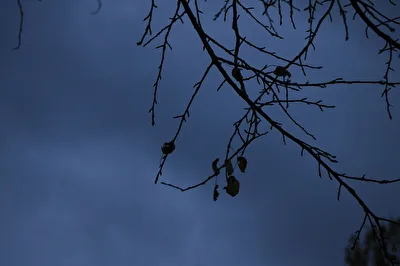Herbstmorgen