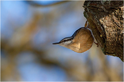 Einmal posieren bitte