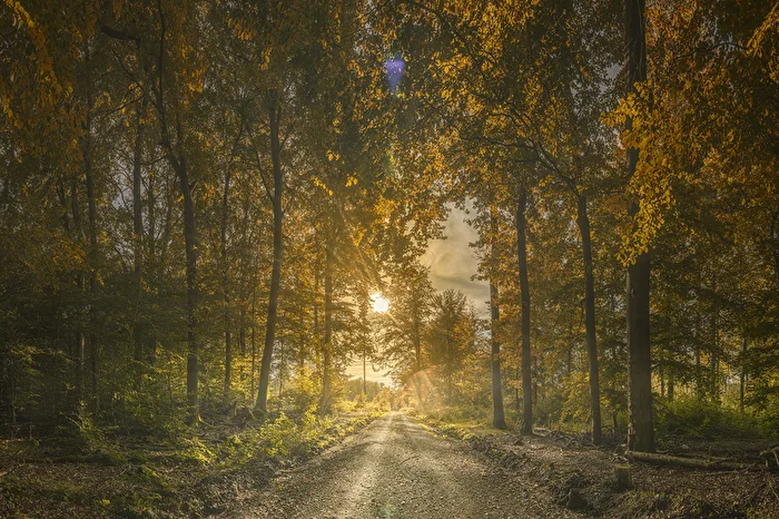 Na halt Herbst