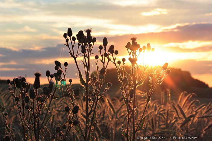 Sonnenuntergang