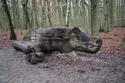 ein ungewöhnliches Waldtier