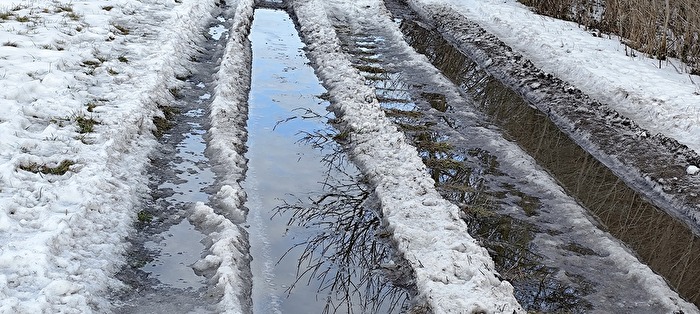 Spuren im Schneematsch