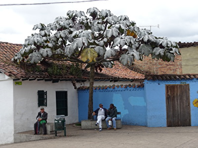 Altstadt Bogota 2018
