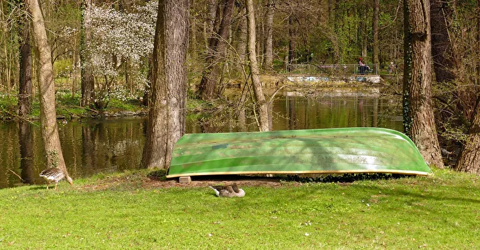 Grün