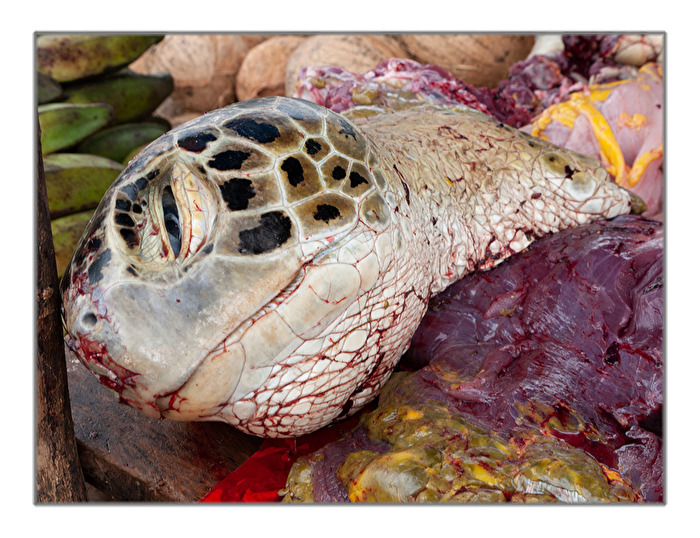 Endstation auf dem lokalen Markt