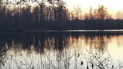 Nettebruch, Dämmerung/Sonnenuntergangsstimmung