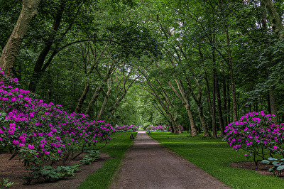 Im Schlosspark