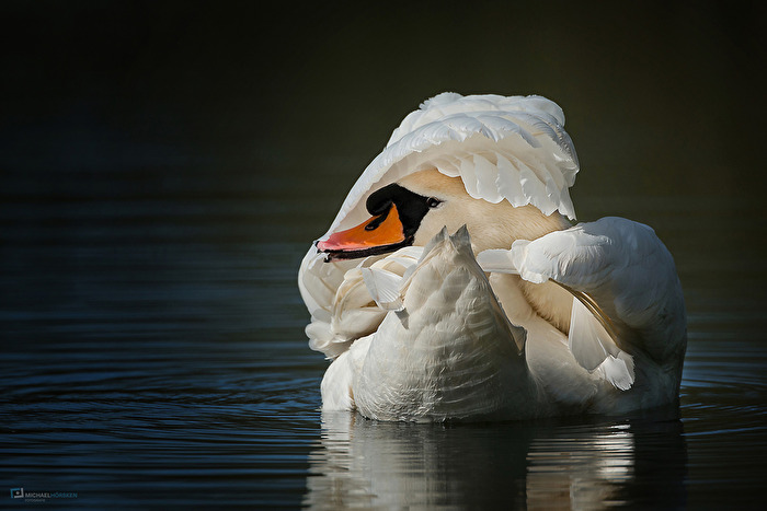 beauty care