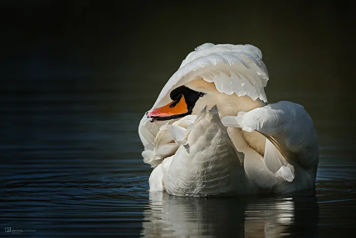 beauty care