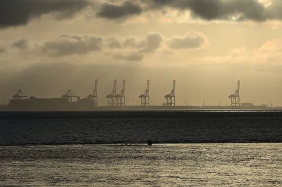 Die "Giraffen" der Nordsee.