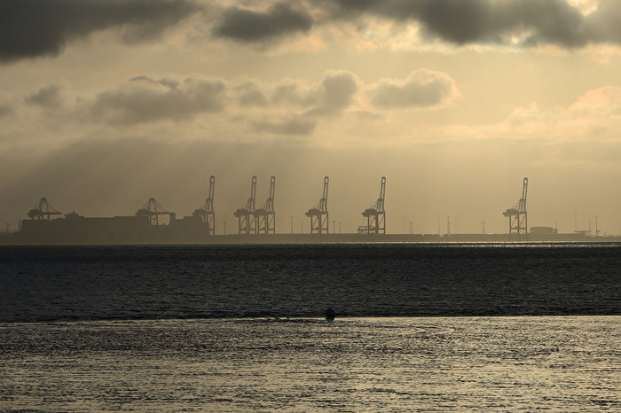 Die "Giraffen" der Nordsee.
