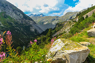 Staumauer