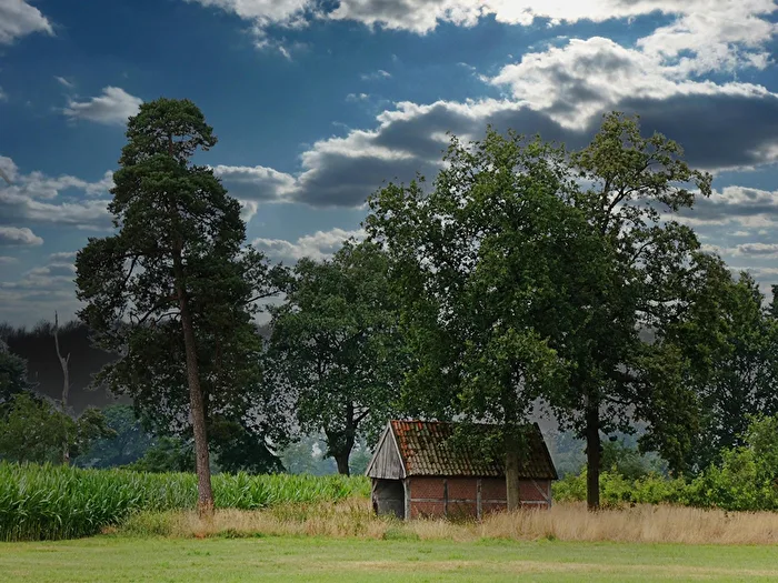 an old pasture barn