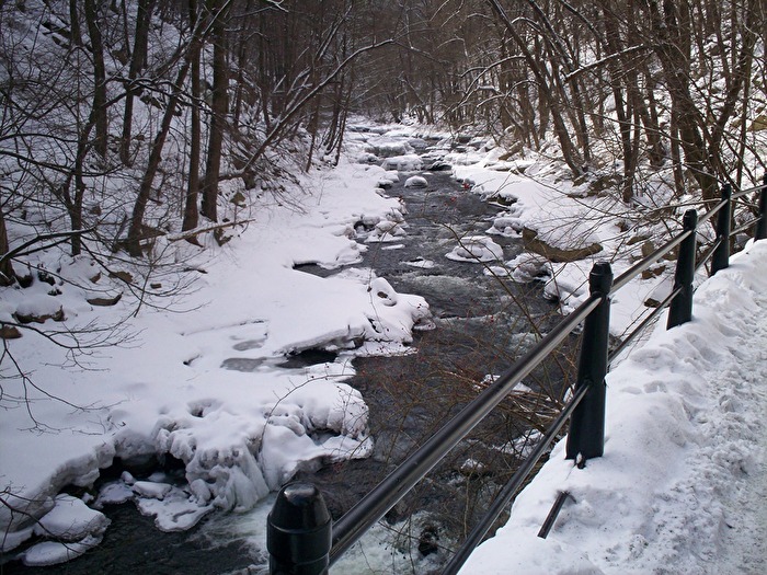 winterliches Bodetal