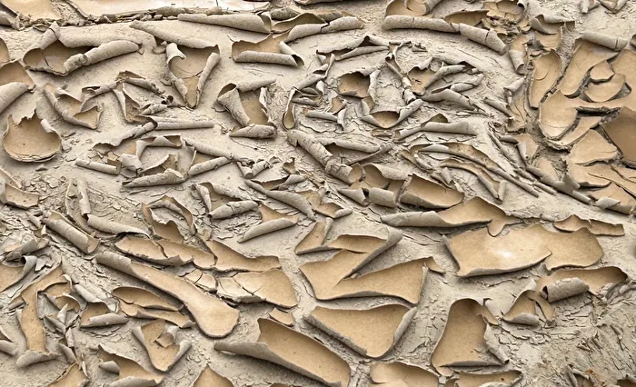 dried out