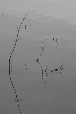 Kaligrafie im Wasser