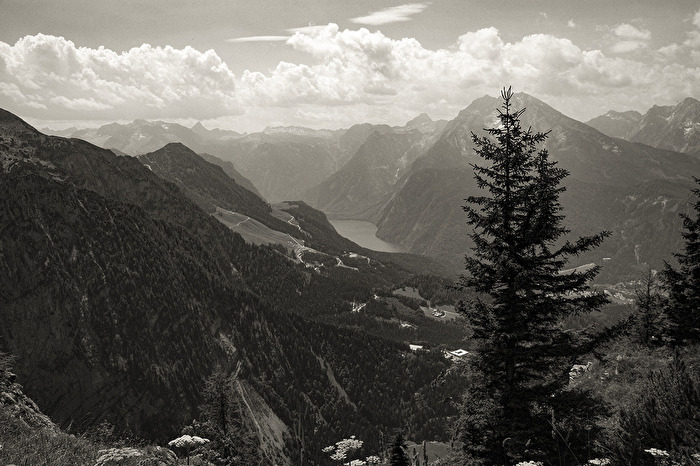 Königsee