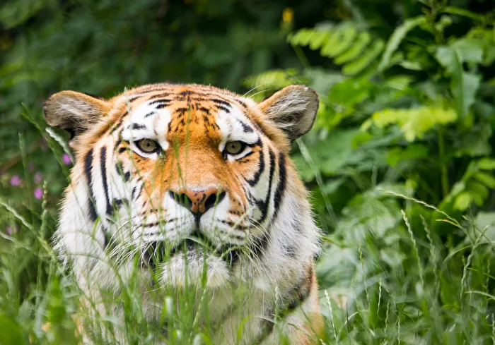At Duisburg Zoo