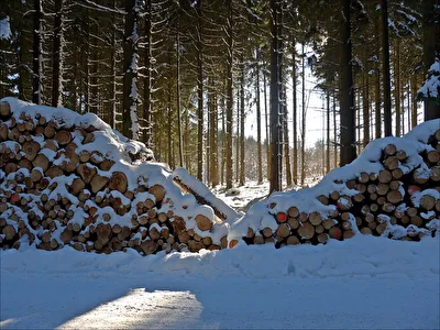 Winter im Harz