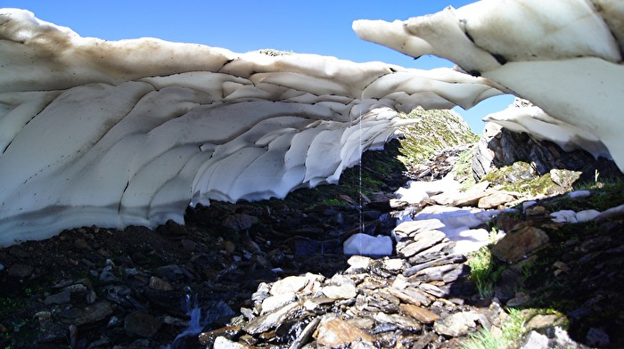 Sommererfrischungen - in den Alpen
