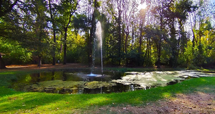 small Pond
