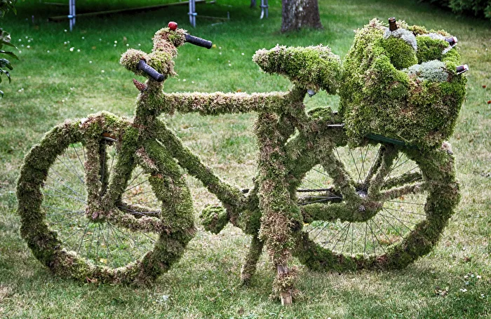 Bicycle in the Greenery