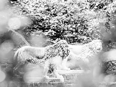 Foto: ...immer noch die Könige