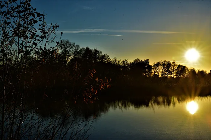 Peace at the Pond