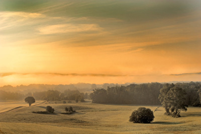 Landschaft in der Oberlausitz