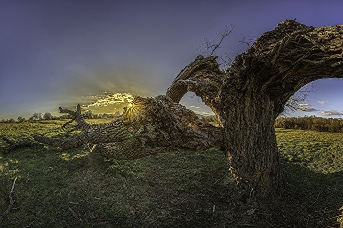 Gespaltene Persönlichkeit