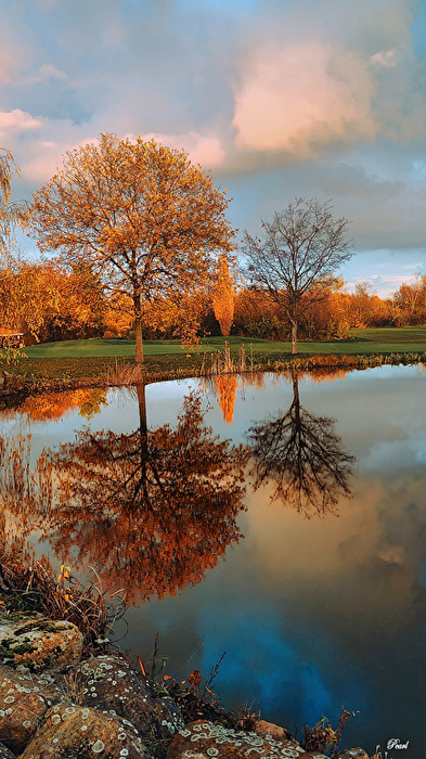 Fotowettbewerb 10/25