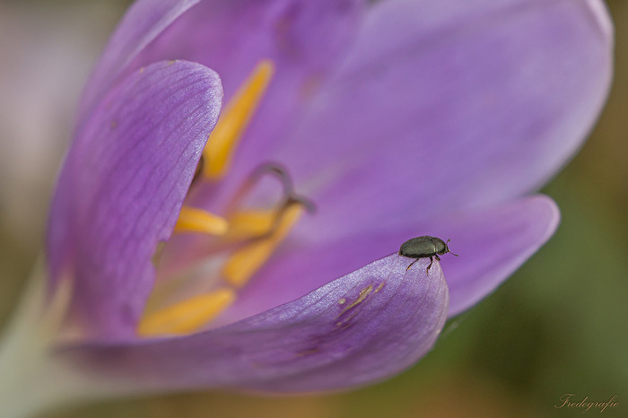 warten auf den Frühling