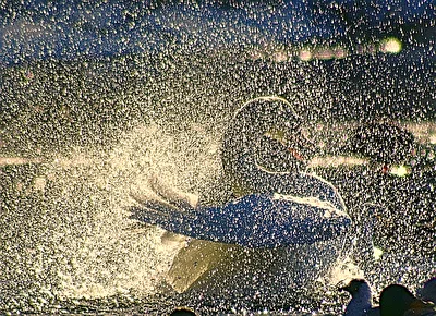 Schwan beim Duschen