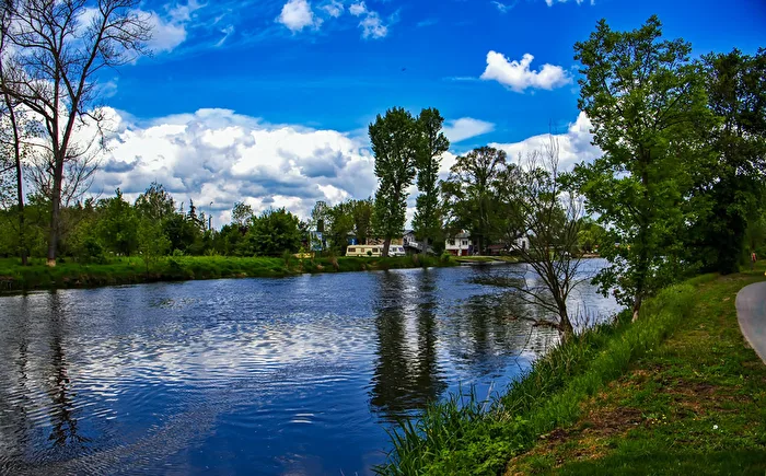 Blick zur Saale