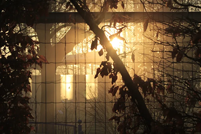 Sunlight caught through the fence