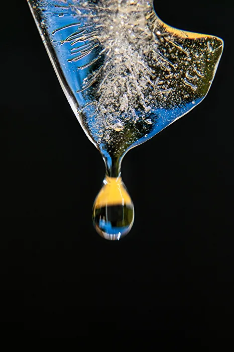 Gota