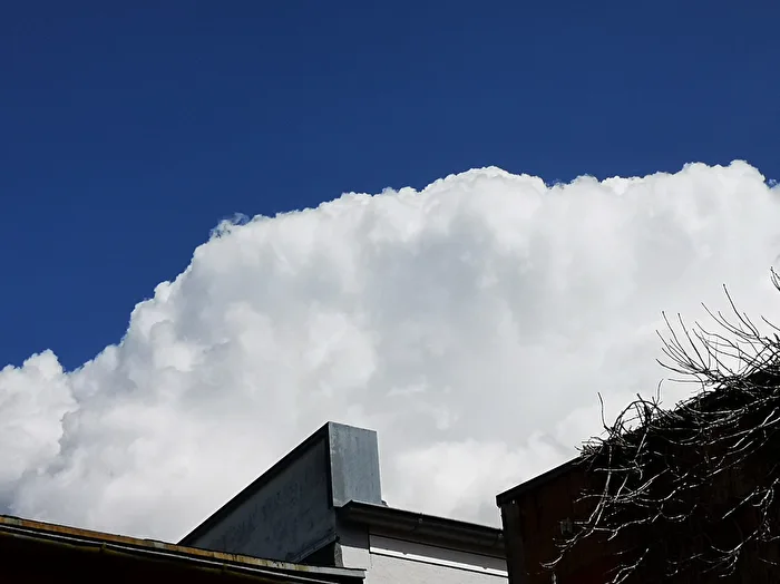 the white cloud