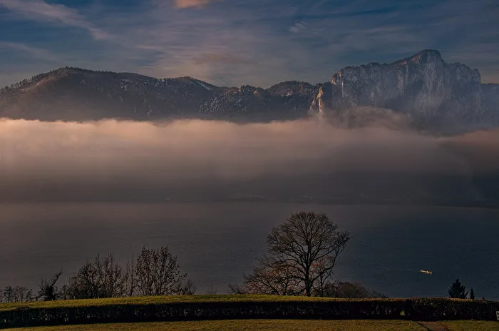 Abendlicht