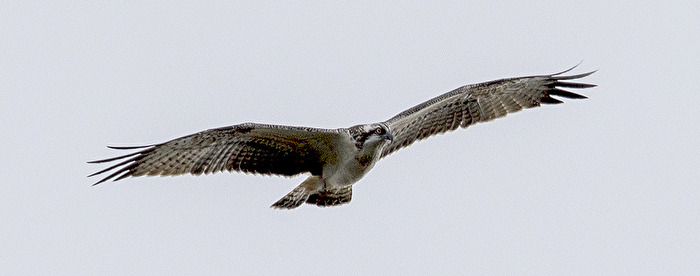 Er segelte vor sich hin