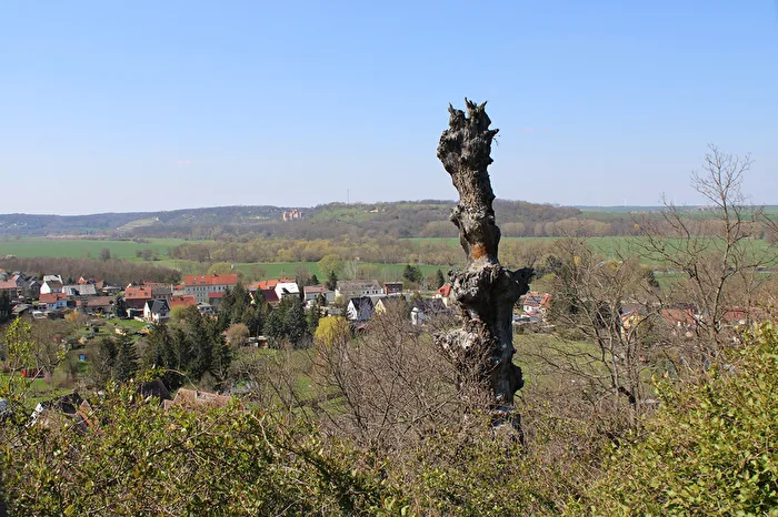 Aussichtspunkt "Alte Eiche"