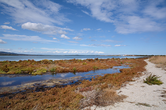 Am See Étang de Salses/Leucate