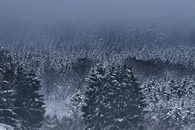 Winter in Taunus